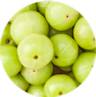 Amla Extract