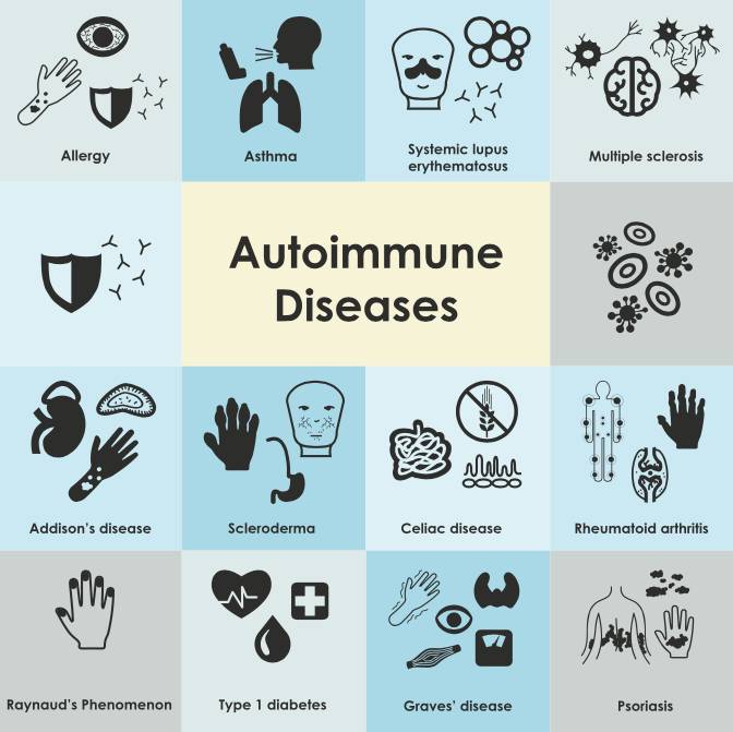 autoimmune diseases tied to gut health