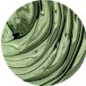 Viome - B. animalis ssp lactis B420